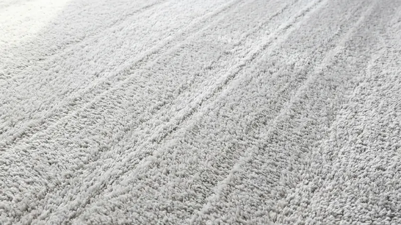A clean, freshly groomed light grey carpet in a bright room